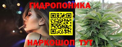 скорость Будённовск